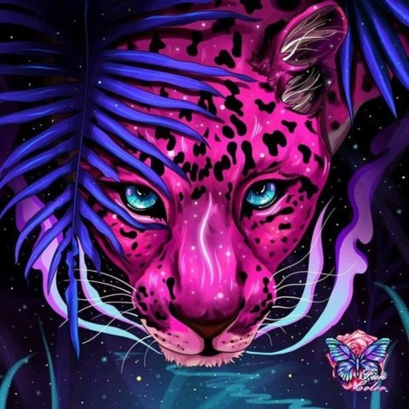 Meet your Posher, Lance - Picture 1 of 1